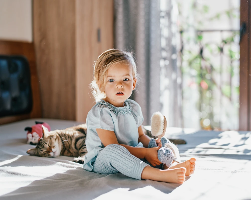 bassinet and swing