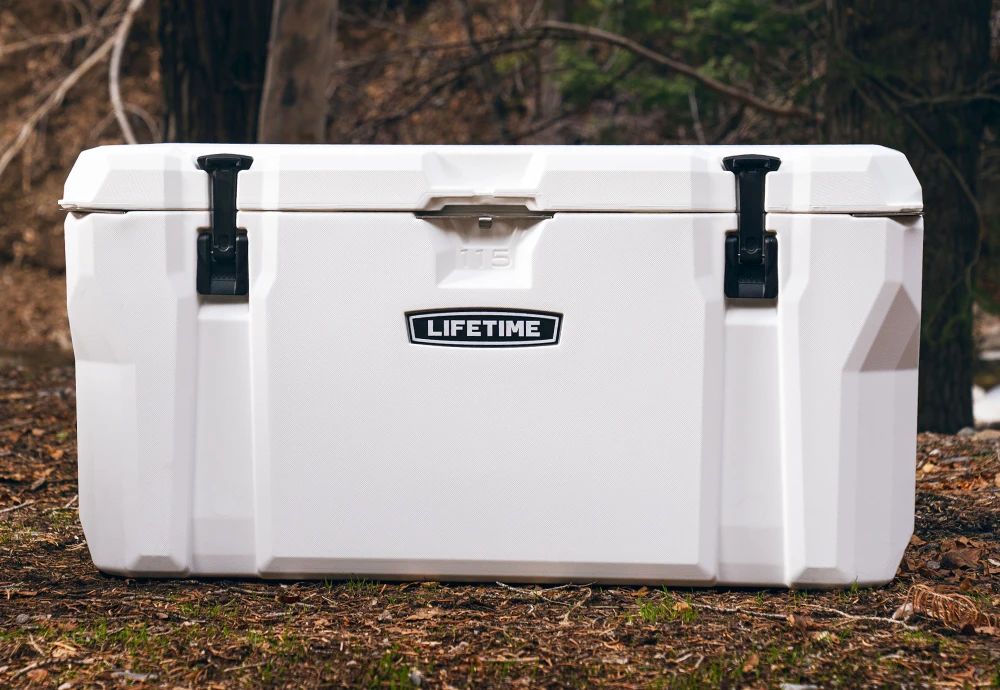 portable cool box fridge