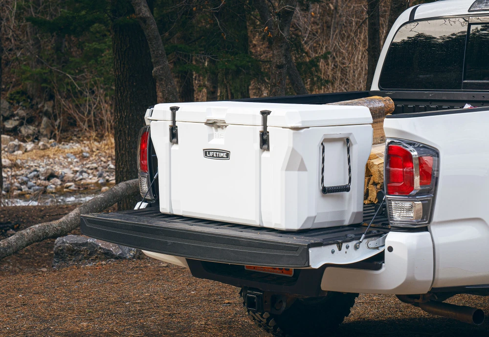 best ice chest cooler