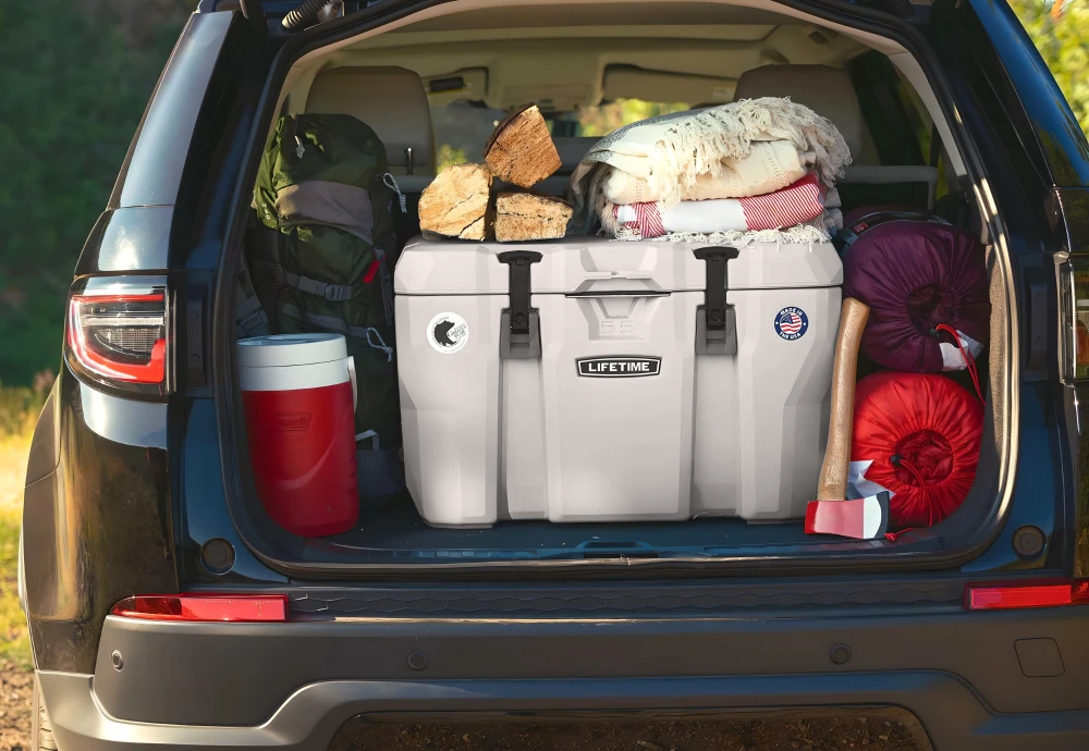 portable cool box fridge