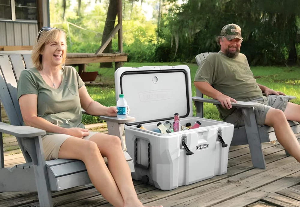 portable car cooler box