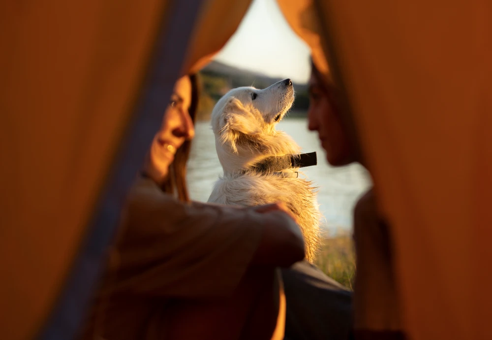 pyramid shaped tent