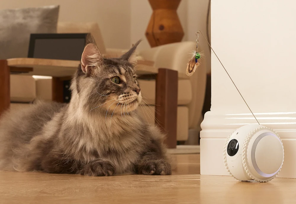 best indoor camera to watch pets