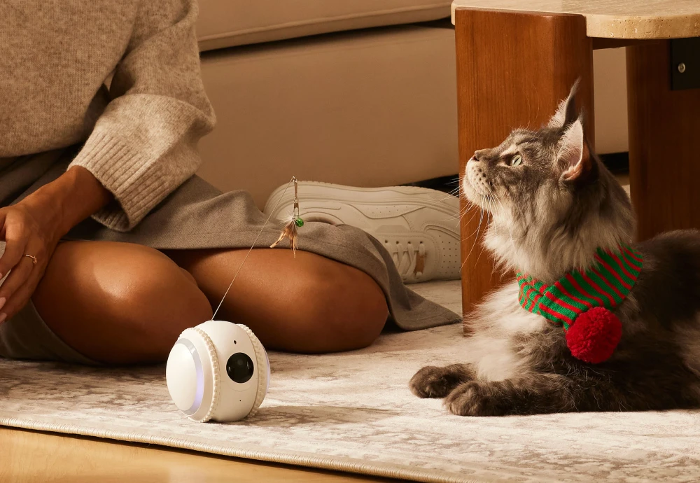 video camera for pets