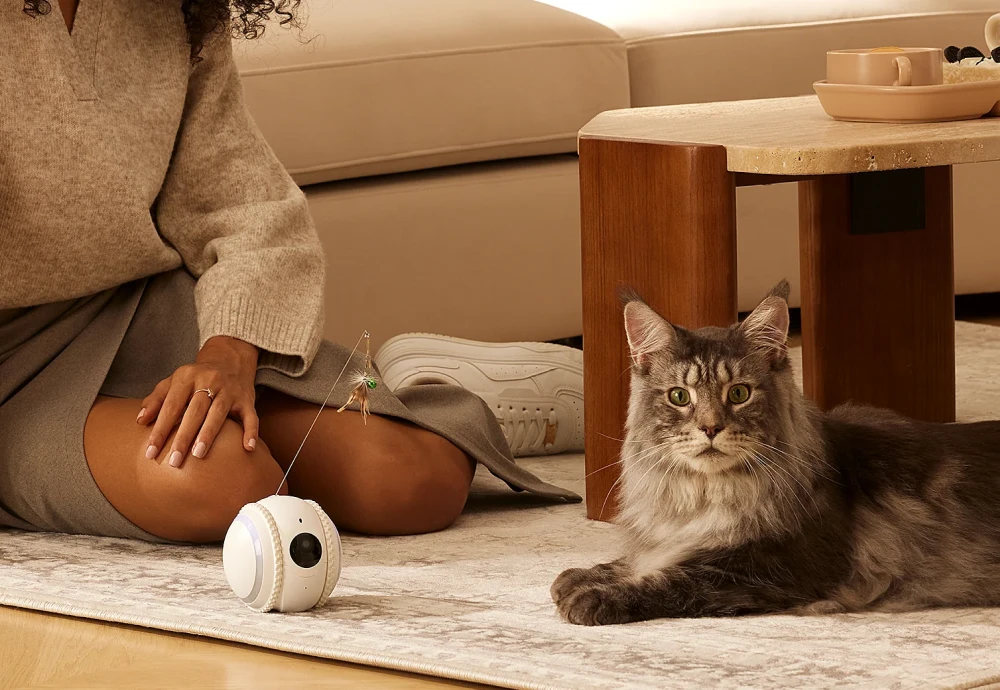 best smart pet camera