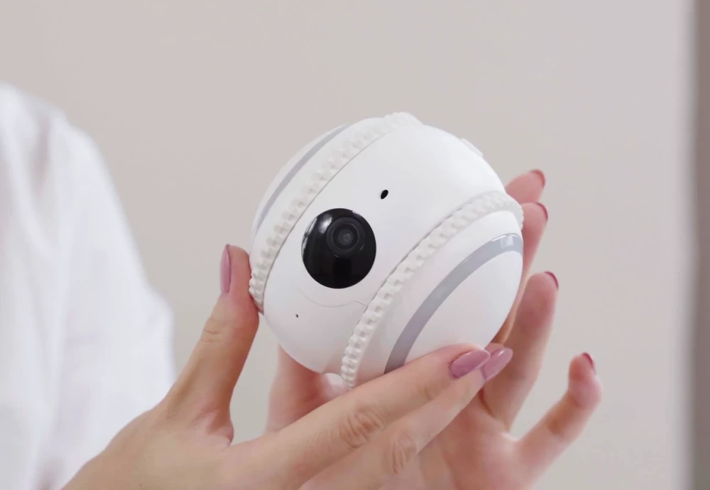 interactive pet camera