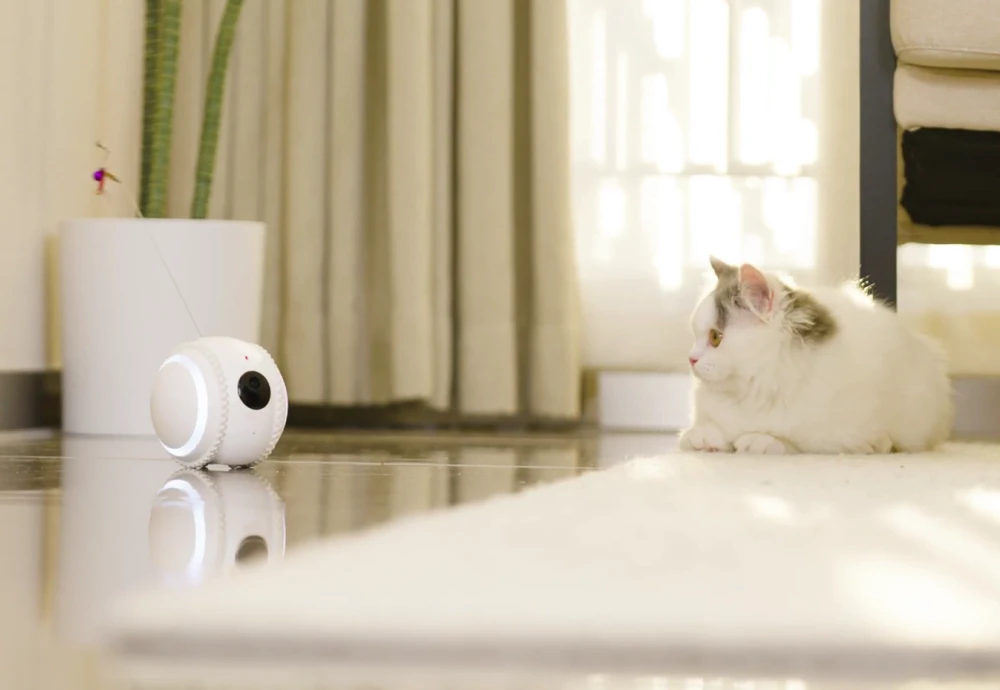 best smart pet camera