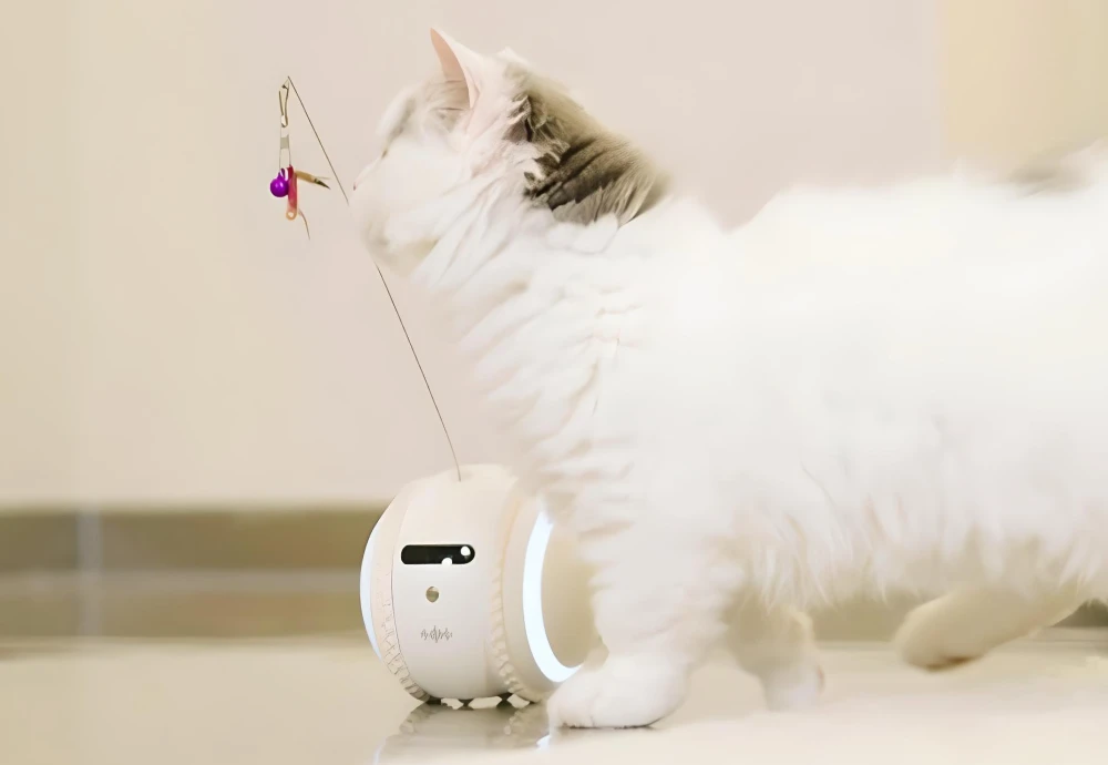 video camera for pets