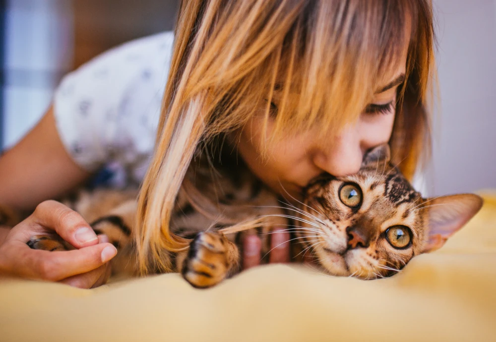 camera to see pets at home