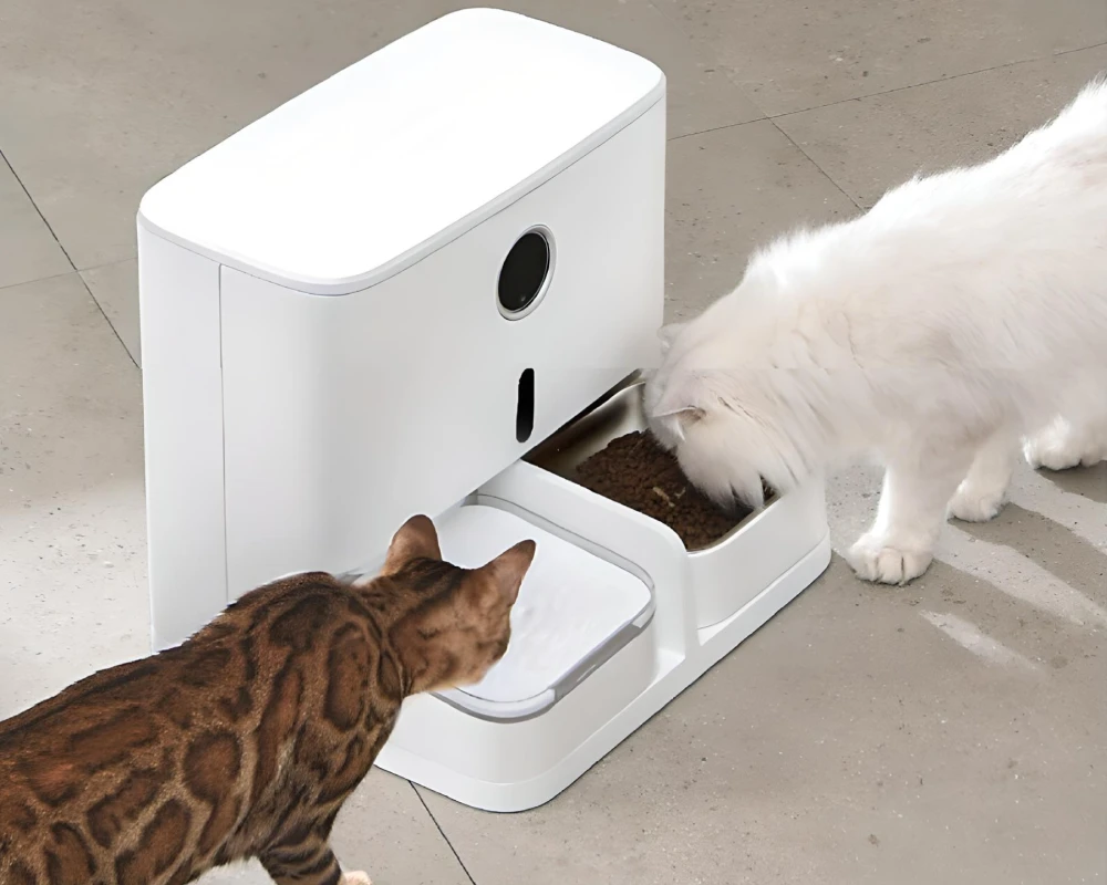 automatic dry food pet feeder