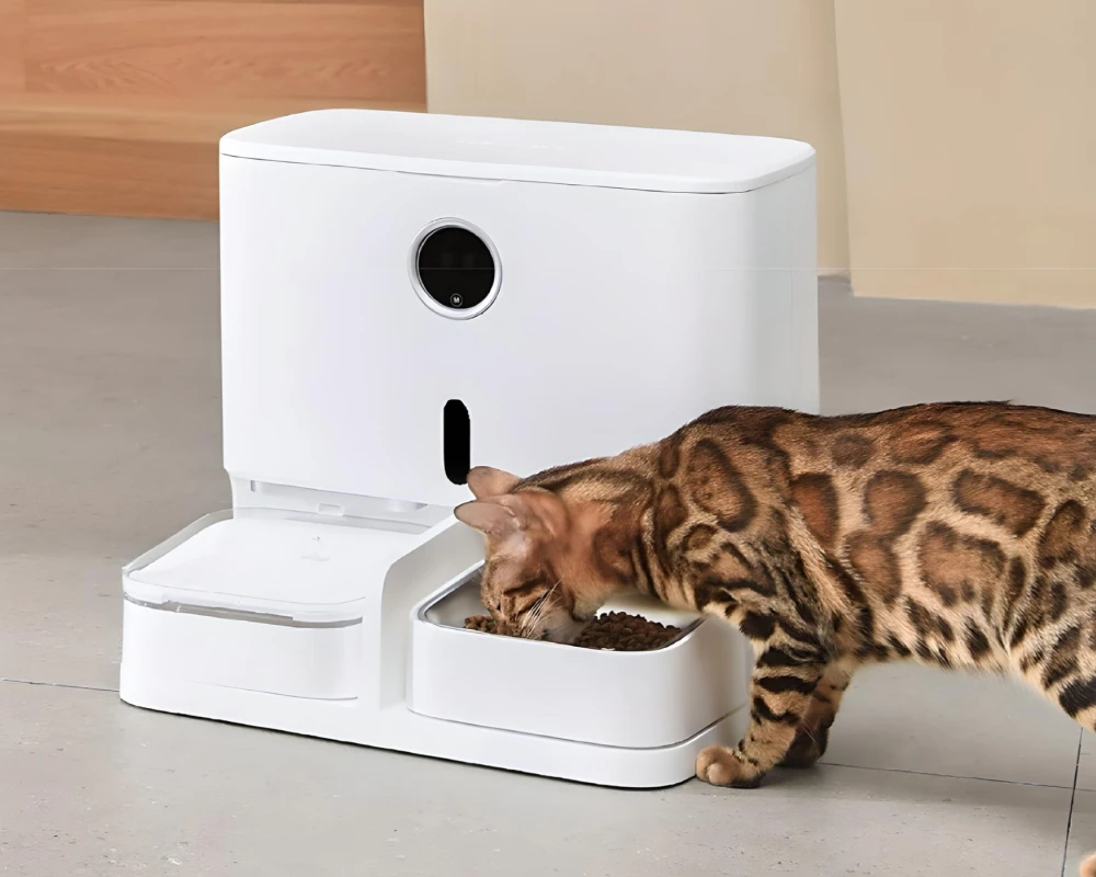 automatic dog feeder with camera