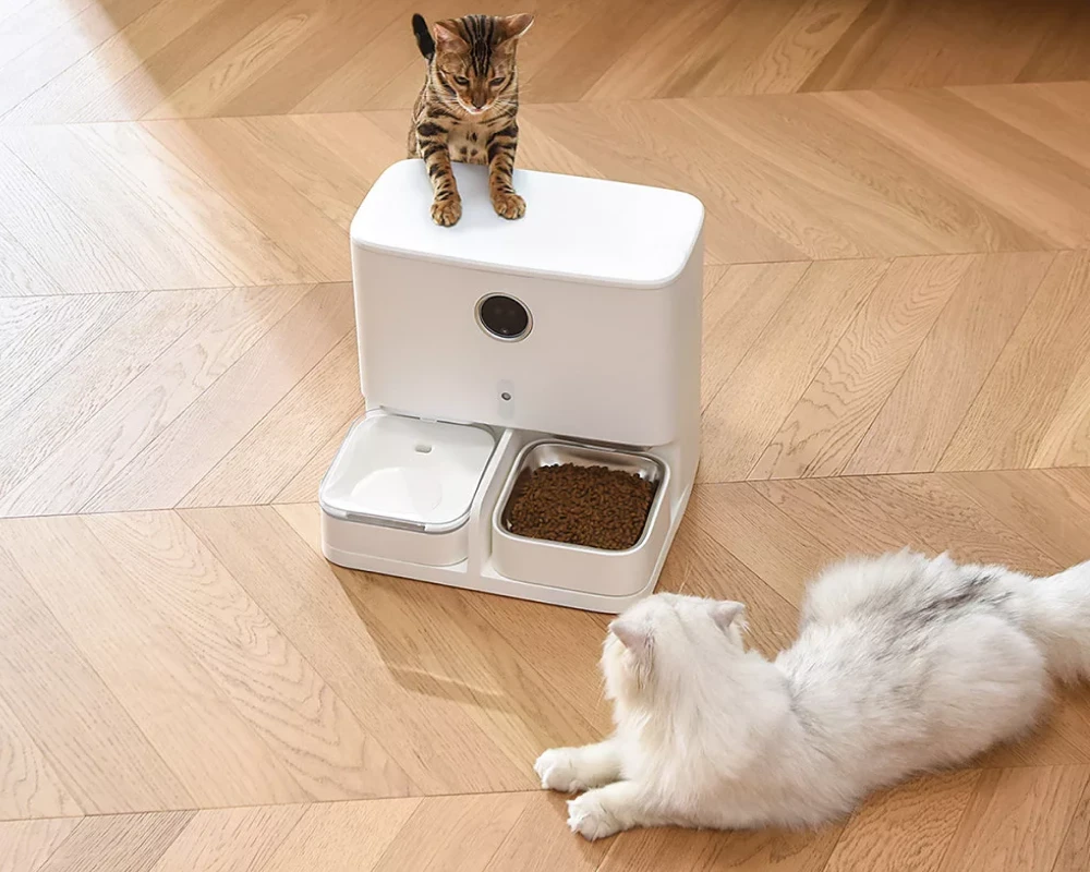 automatic pet feeder with camera