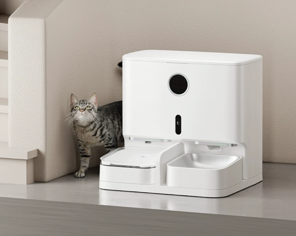 automatic pet feeder for two cats