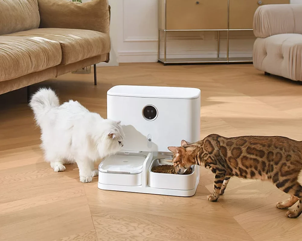 automatic pet feeder and water dispenser