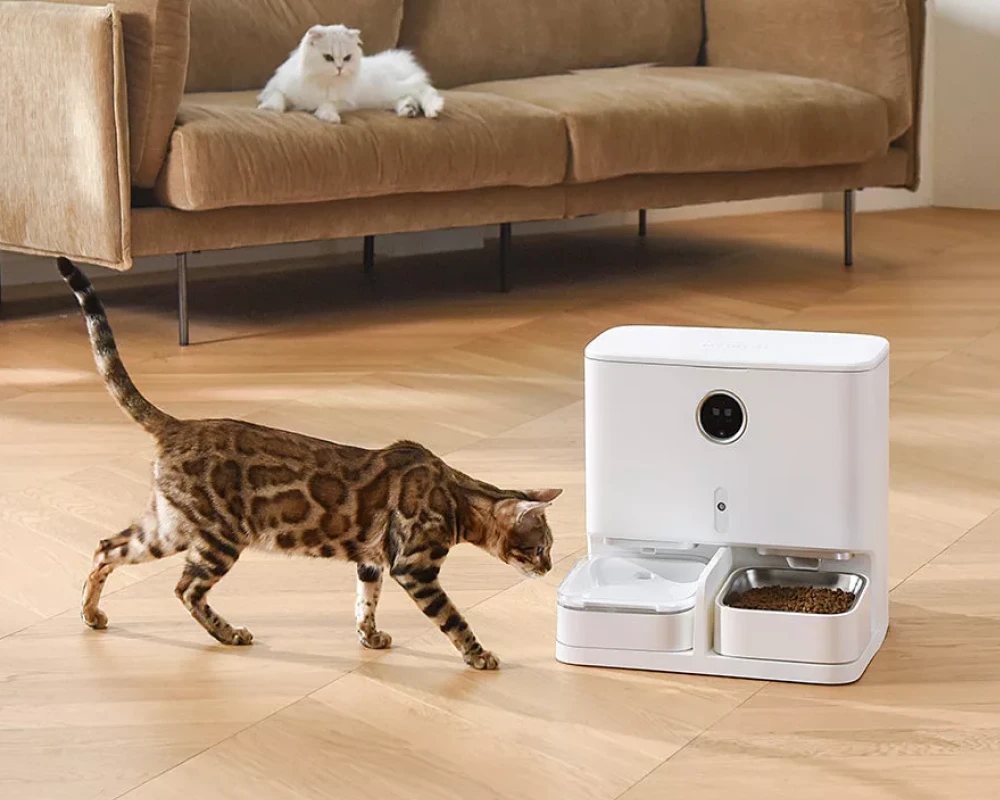 pets automatic feeder