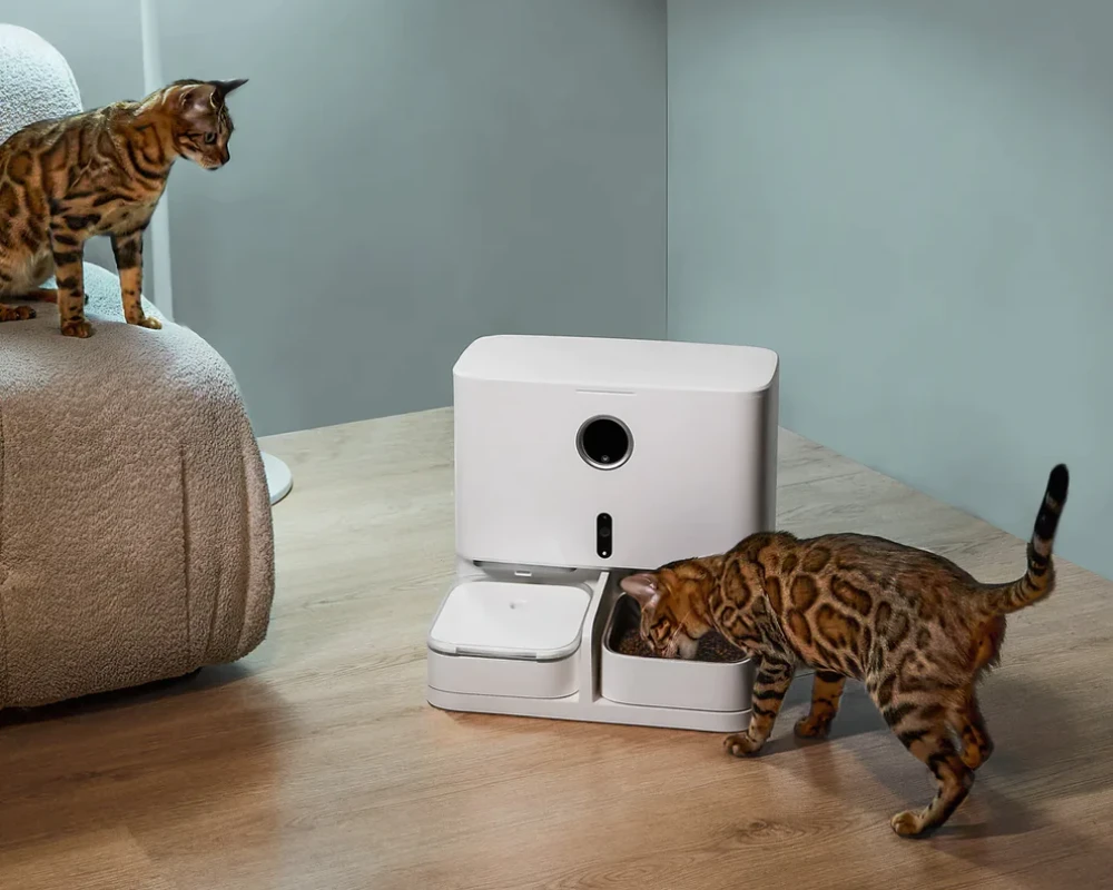 automatic pet feeder and waterer