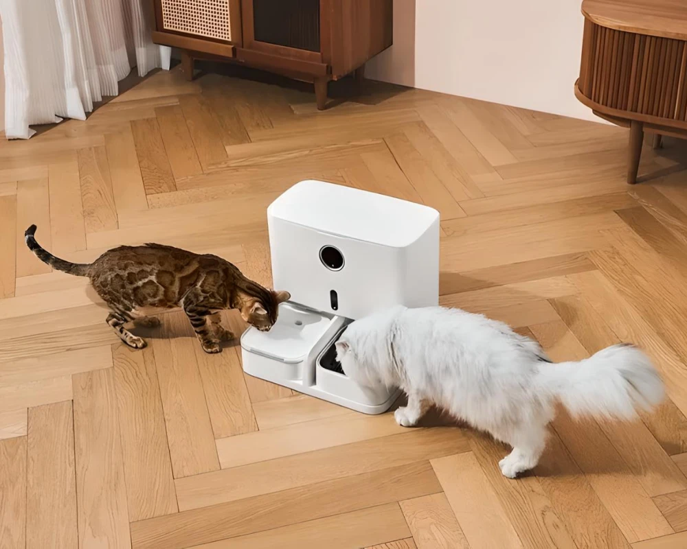 automatic dog food feeder